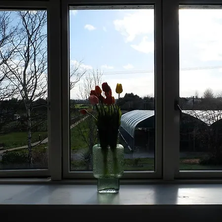 招待所 Guesthouse