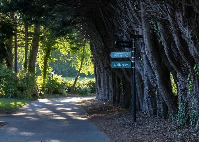 Гостевой дом Guesthouse