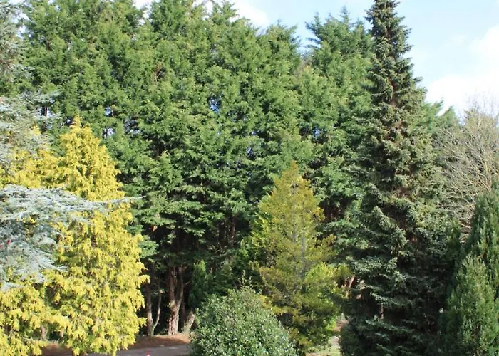 Guesthouse 3* Malahide